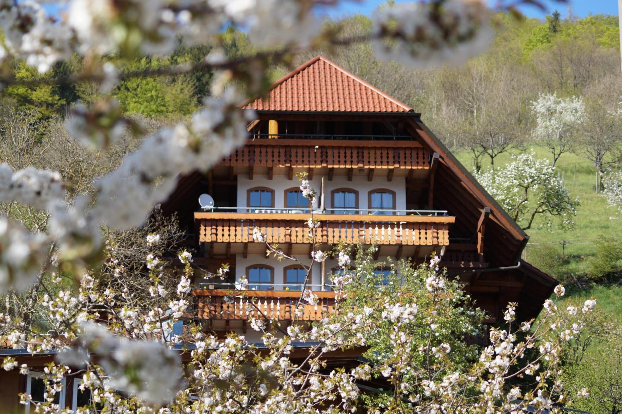 Kurparkhotel Faisst Bad Peterstal-Griesbach Exterior foto